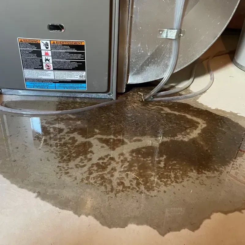 Appliance Leak Cleanup in Porter County, IN